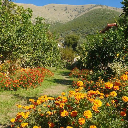 Helen Apartments Lukovë Dış mekan fotoğraf