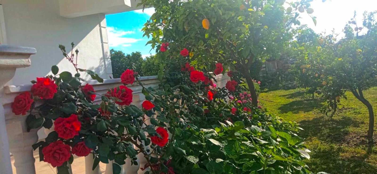 Helen Apartments Lukovë Dış mekan fotoğraf